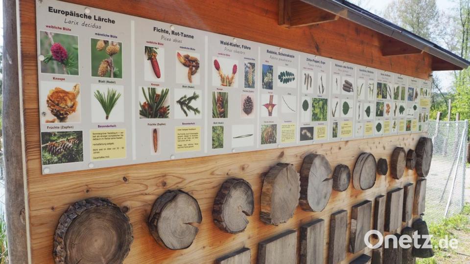 Der Erlebnispark bietet kleinen Forschern eine perfekte Plattform für Erkundungen. Bild: bl
