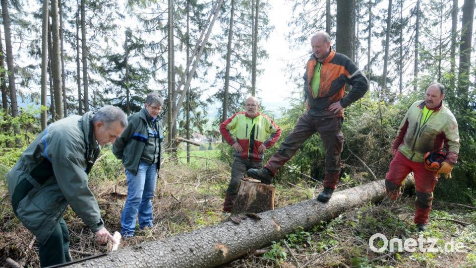 Dirk Lüder (von links), Annette Schödel, Alfred Lautenbacher, Reinhard Häupl und Karl Dostler begutachten die Schäden, die der Borkenkäfer bereits verursacht hat. Bild: Gabi Schönberger