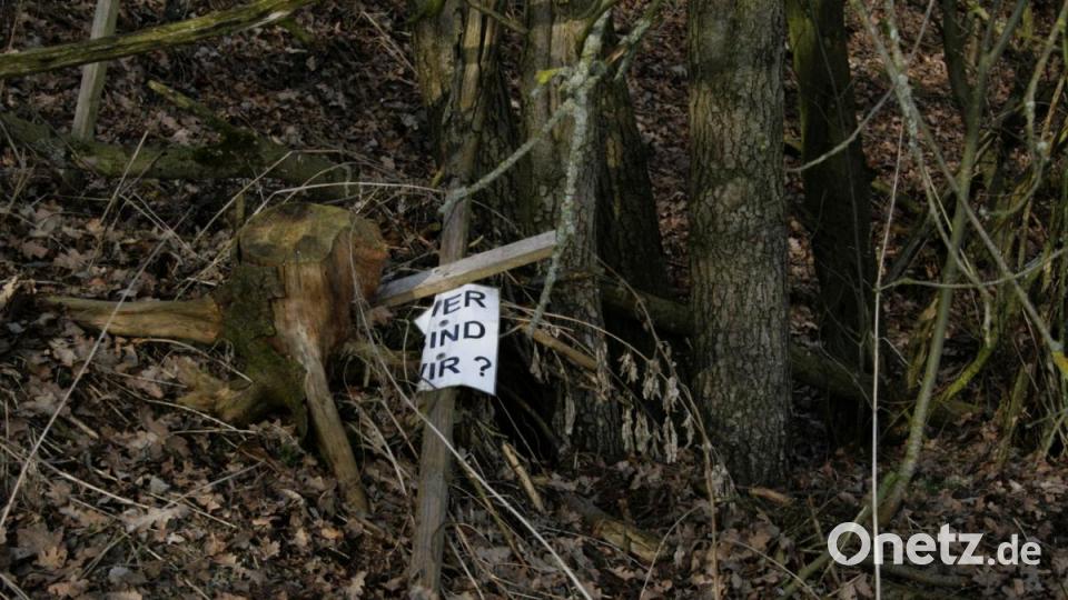 Nach und nach verrotteten die heimlich aufgestellten Holzkreuze. Das Bild wurde im Februar 2014 aufgenommen. Archivbild: wro