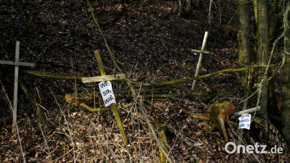 Die von Unbekannten errichtete Gedenkstätte bot Im Februar 2014 ein trauriges Bild. Archivbild: wro
