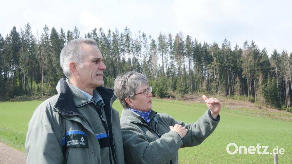 Dirk Lüder und Annette Schödel begutachten die Wälder. Bild: Gabi Schönberger