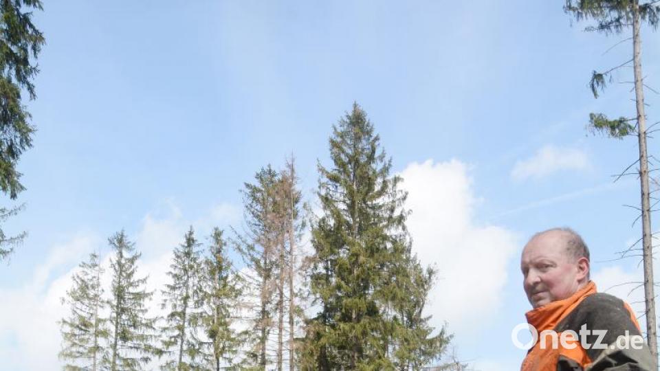 Sie kümmern sich um den Wald. Bild: Gabi Schönberger
