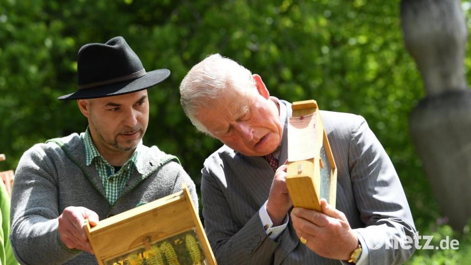 Prinz Charles (r), ließ sich vom Imker Alen Bacic die Bienen zeigen. Bild: Matthias Balk