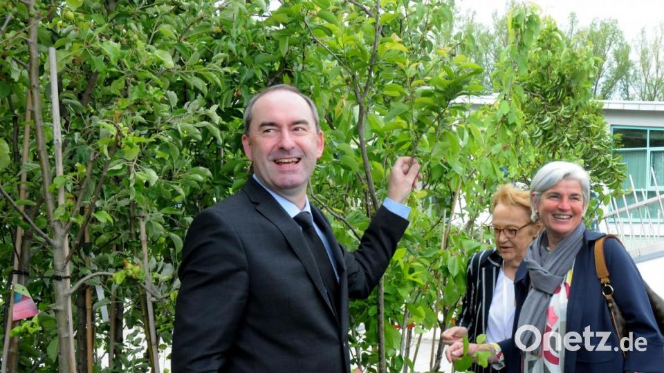 Hubert Aiwanger hat zur Landesmitgliederversammlung der Freien Wähler in Amberg Obstbäume und Sträucher gestiftet. Bild: Stephan Huber