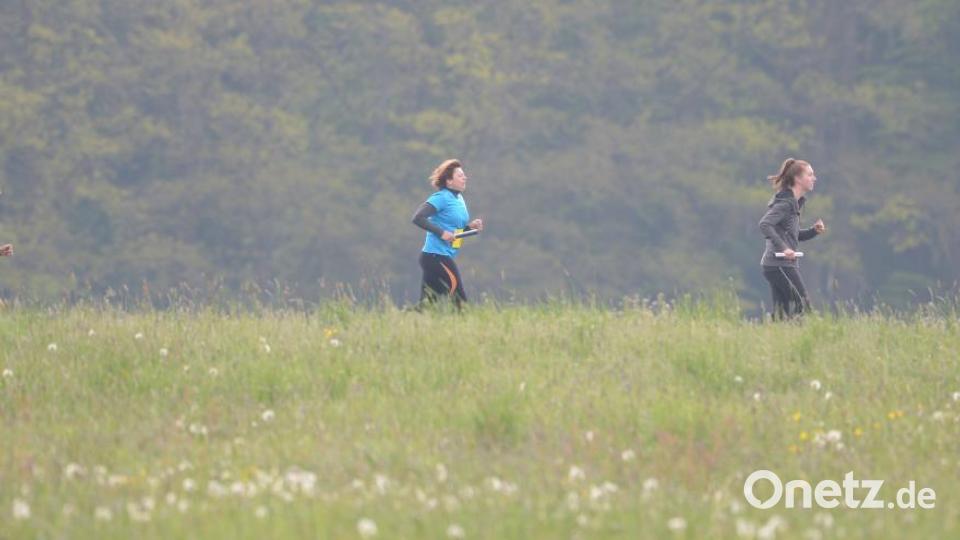 Landkreislauf 2019 Bild: ref
