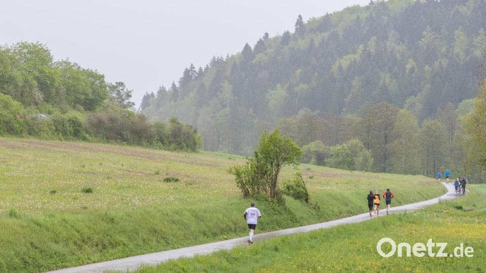 Landkreislauf 2019 Bild: chl