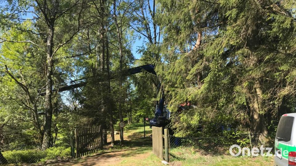 Polizeitaucher suchen bei Waldkirch nach Monika Frischholz. Bild: Gabi Schönberger