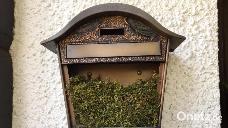 Der Postkasten von Isolde Bayer ist voll mit Moos. Ein neuer Nachbar hat es sich hier gemütlich gemacht. Bild: exb