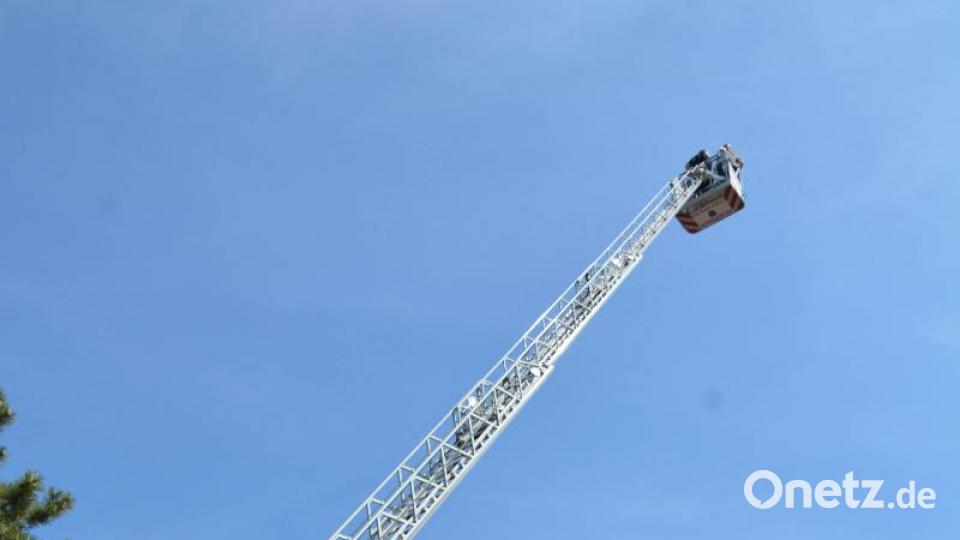 Zwei Drehleitern der Feuerwehren eröffneten die Chance, sich auf 30 Meter Höhe heben zu lassen. Bild: Freya Stöckl