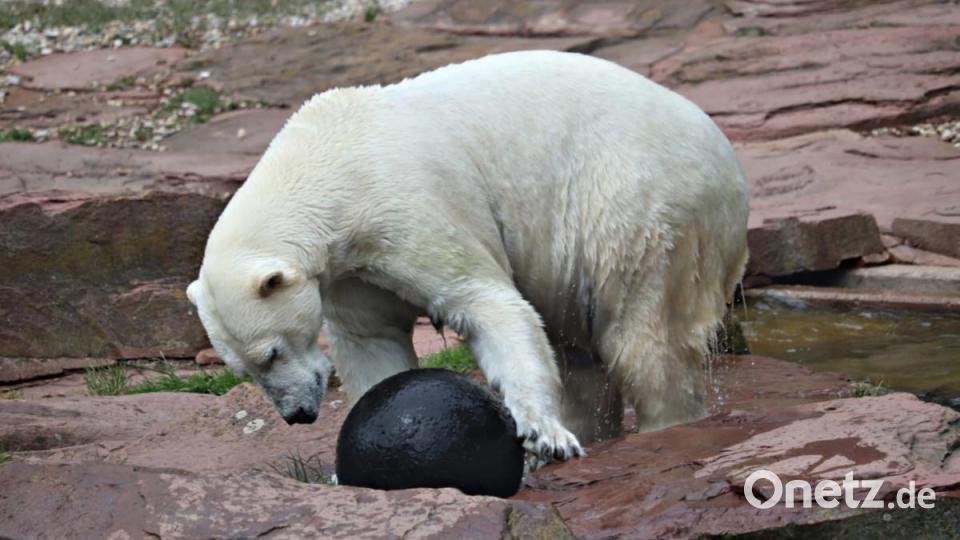 Bild von Philipp Müller Bild: jzk