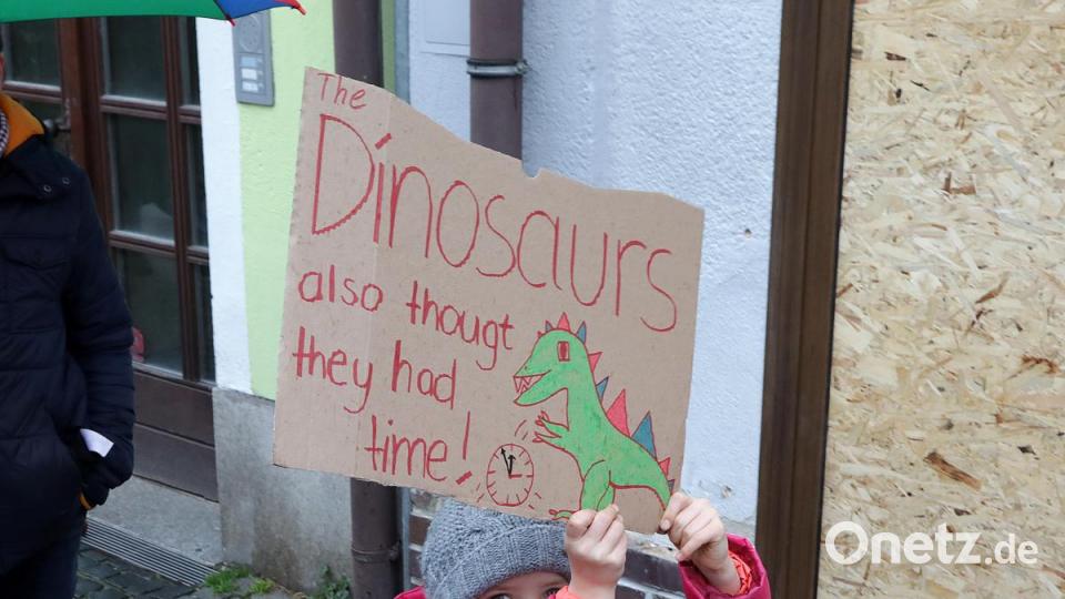 Demo für Klimaschutz Bild: Wolfgang Steinbacher