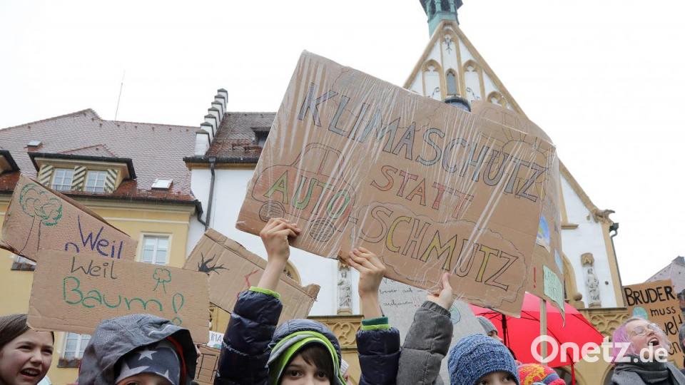 Demo für Klimaschutz Bild: Wolfgang Steinbacher
