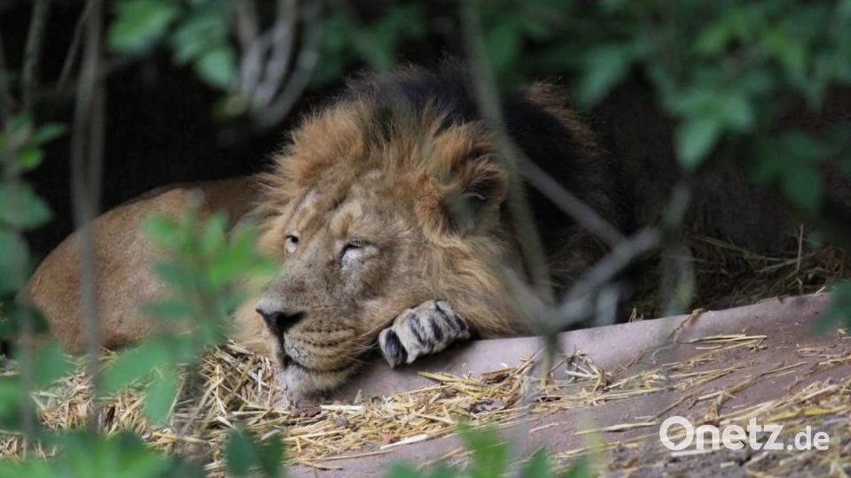 Bild von Hannah Schmelber Bild: jzk