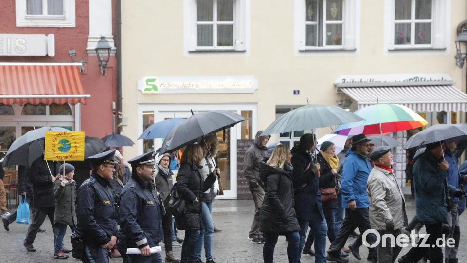 Demo für Klimaschutz Bild: Wolfgang Steinbacher