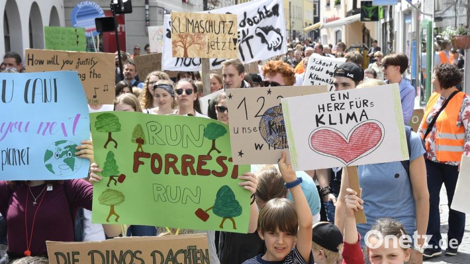 Etwa 300 Leute kamen zur vierten Amberger Klima-Demo. Bild: Petra Hartl