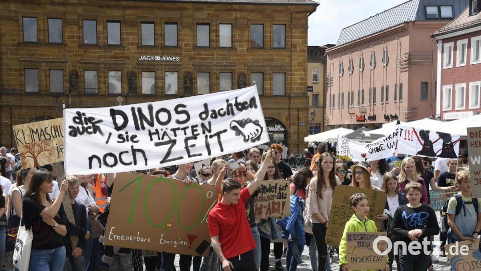 Etwa 300 Leute kamen zur vierten Amberger Klima-Demo. Bild: Petra Hartl