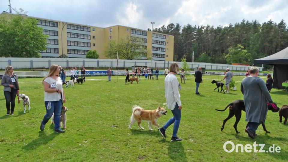 Laufen im Wertungsring. Bild: Dobmeier