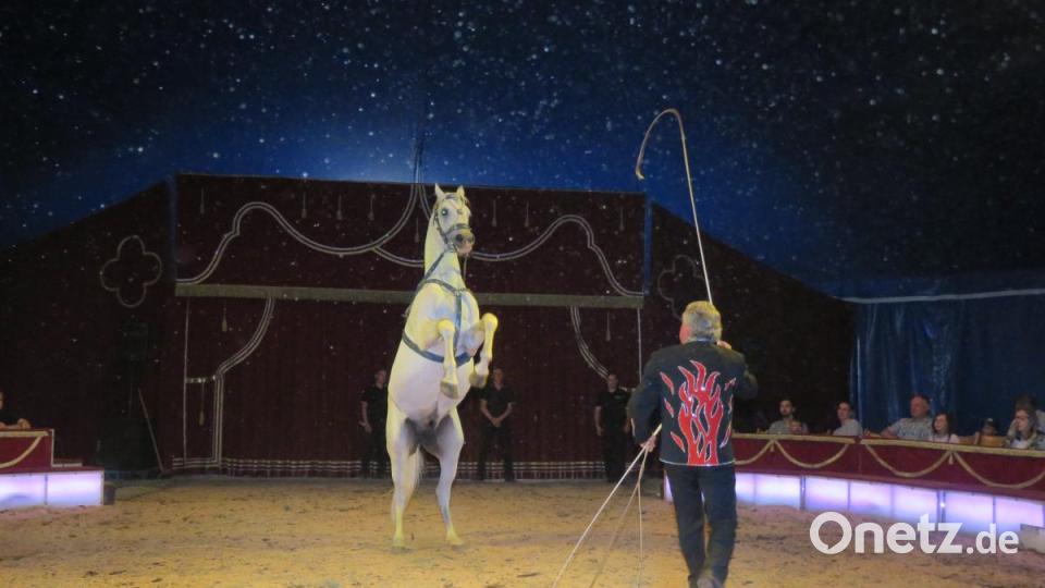 Araberhengste zeigten grandiose Dressurformationen. Bild: ubb