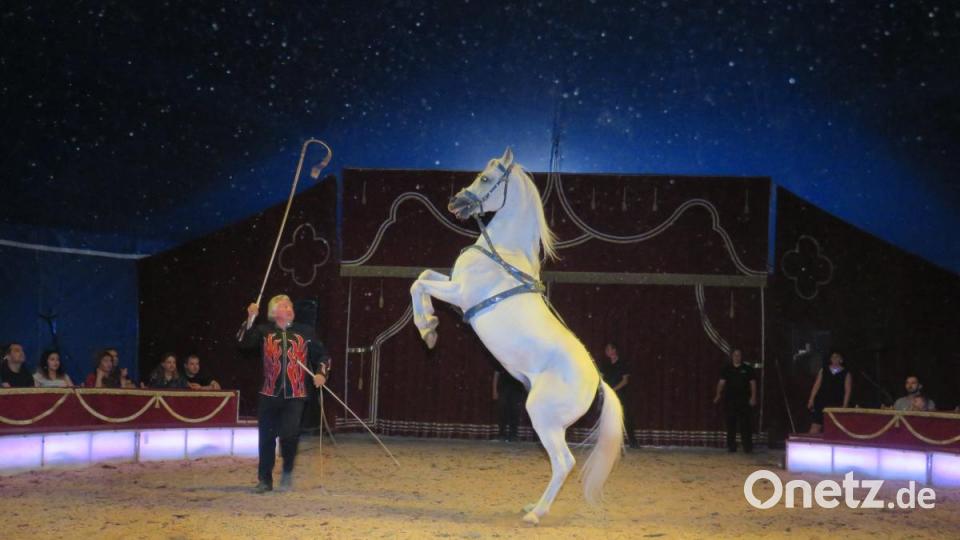 Was für eine großartige Leistung! Bild: ubb