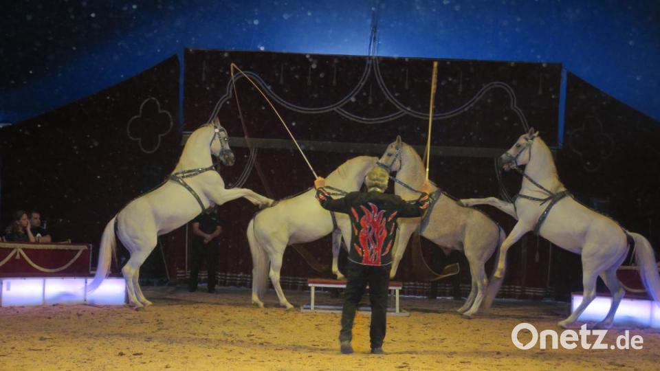 Die Araber führte der Zirkusdirektor Hardy Weisheit perösnlich. Bild: ubb