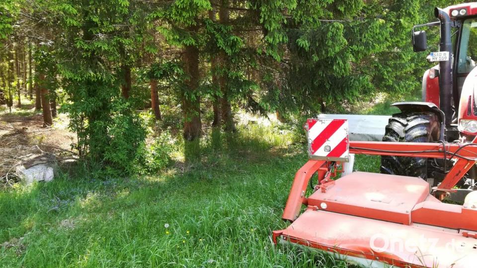 In der umgedrehten grauen Kiste (links) muss das Rehkitz ausharren, bis die Wiese fertig gemäht ist. Bild: exb