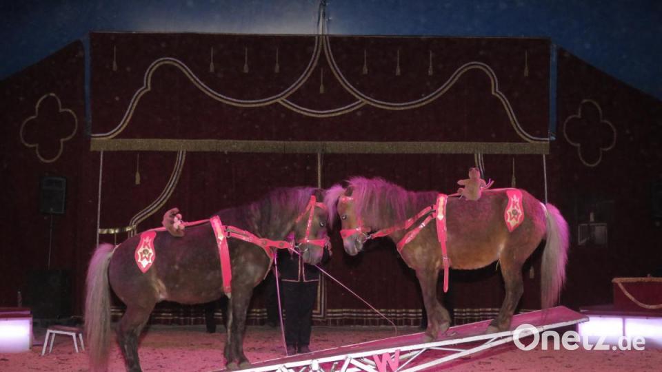 Die Pferdeschaukel. Bild: ubb