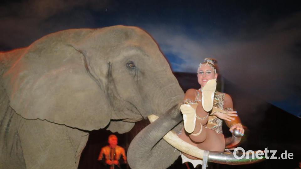 Was für ein bequemer Sitz. Bild: ubb