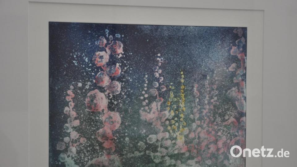 Stockrose von Otto Dünne aus Weiden. Bild: dob