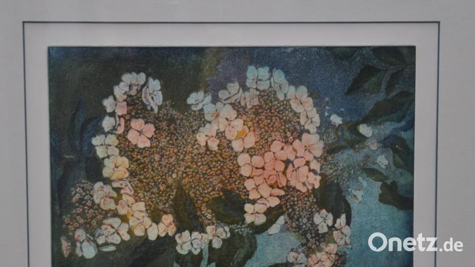 Hortensie - Radierung/Aquatinta von Künstler Otto Dünne aus Weiden. Bild: dob