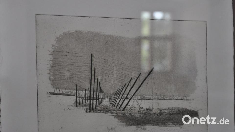 "Holledau - Filigrane Gebilde" von Otto Dünne. Bild: dob