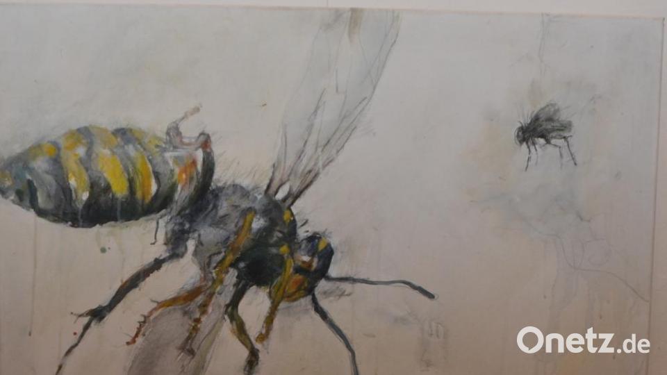 Vier Künstler stellen beim Kultursommer 2019 im Schloss Friedrichsburg aus. Bild: dob