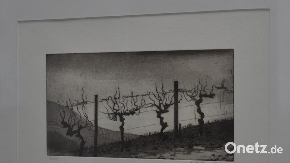 Altes Holz - edler Wein. Bild: dob