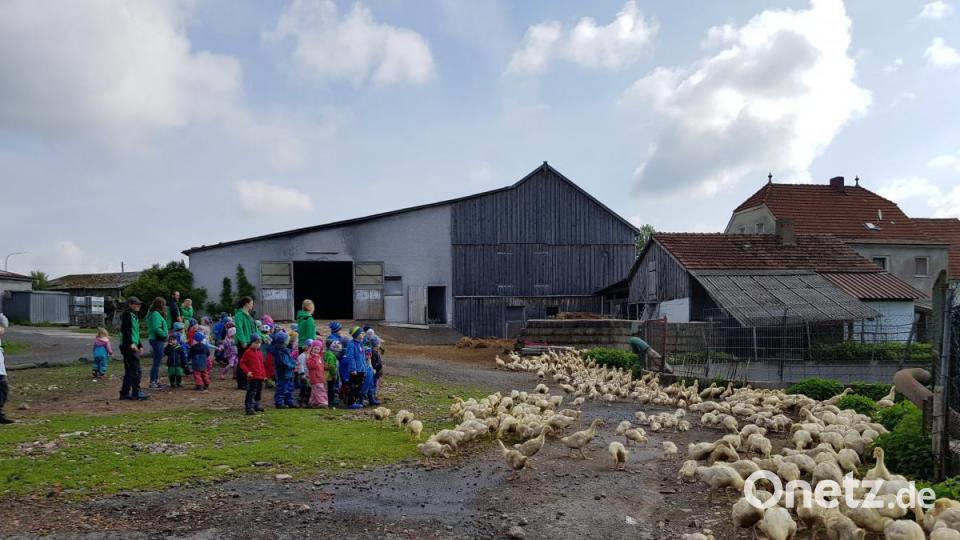 Learning Campus Waldkindergarten; Kinder beim Erlebnistag Bild: exb