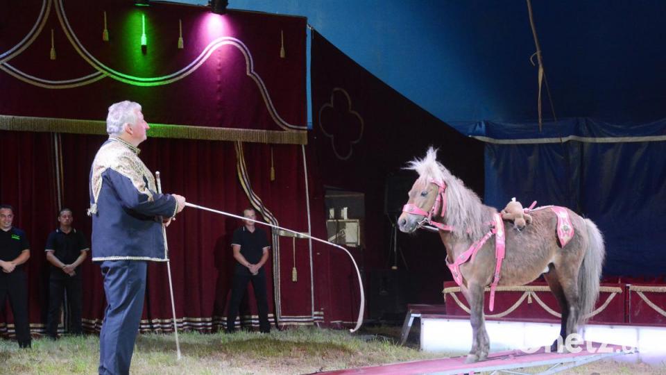 Zwei Ponys schaukeln zunächst mit Hardi Weisheit und dann zusammen auf einer Wippe in der Manege. Bild: Gabi Schönberger