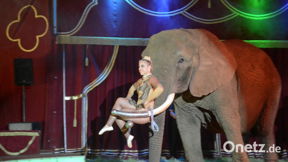 Die grauen Riesen sind die Stars der Show. Akrobatin Kimberly Weisheit lässt sich gleich zu Beginn der Show von einem Elefanten in die Manege tragen. Bild: Gabi Schönberger