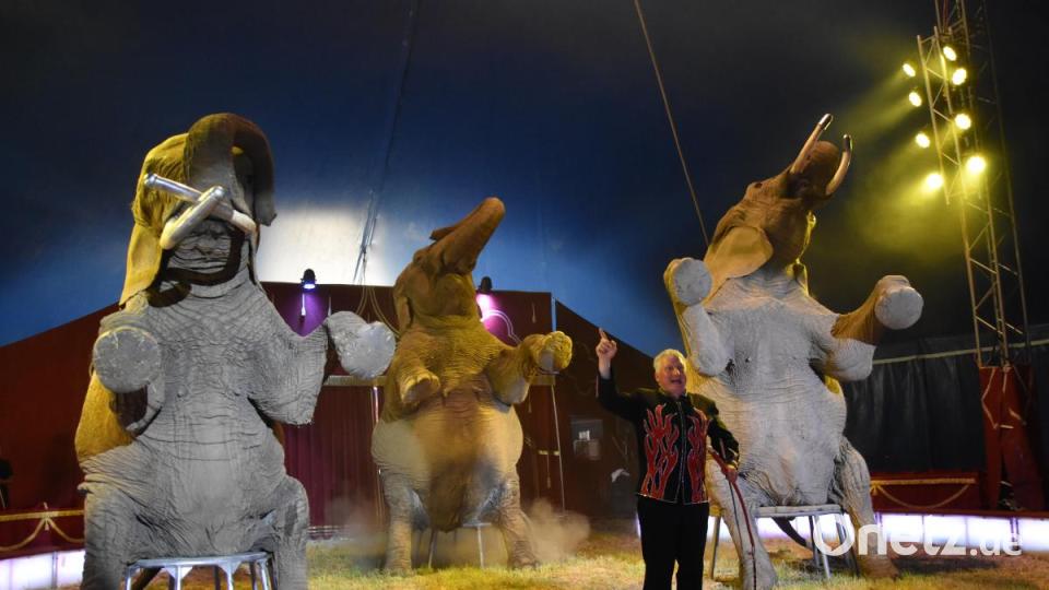 Drei indische und afrikanische Elefanten sind im &quot;Circus Afrika&quot; beheimatet. Bild: pmen