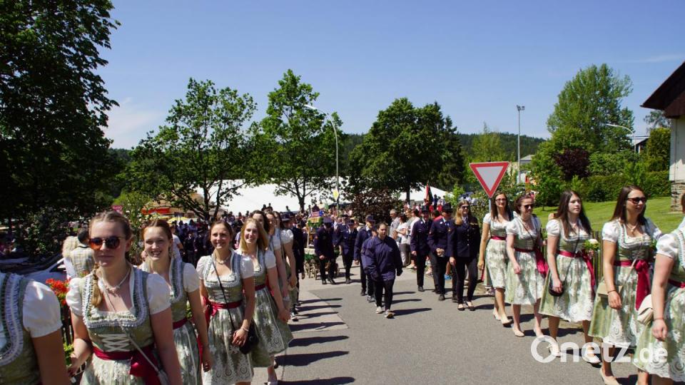 Die Festdamen des Patenvereins aus Schönsee. Bild: mmj