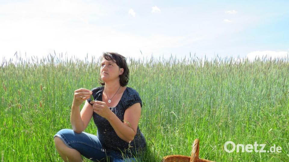 Regina Herrmann kennt jedes Kraut, das am Wegrand wächst. Ihr Wissen darüber gibt sie gern weiter. Bild: ubb