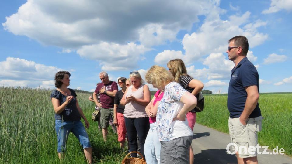 Alle paar Meter findet Regina Herrmann (links) ein weiteres Wildkraut, dessen Wirkung sie ausführlich erklärt. Bild: ubb