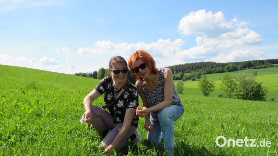 Die Schwestern Dora Schätzler und Brigitte Müller (von rechts) sind sehr interessiert an den Wildkräutern. Bild: ubb