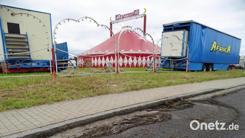 Zelte erhielten Funkenschäden und das verkohlte Heu wurde mit dem Löschwasser weggeschwemmt. Bild: Dobmeier