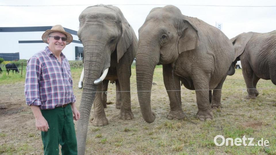 Die Elefantendamen vom &quot;Circus Afrika&quot; bedanken sich bei Josef Ackermann. Der Landwirt aus Trabitz spendete ihnen eine Tonne Heu. Bild: Gabi Schönberger