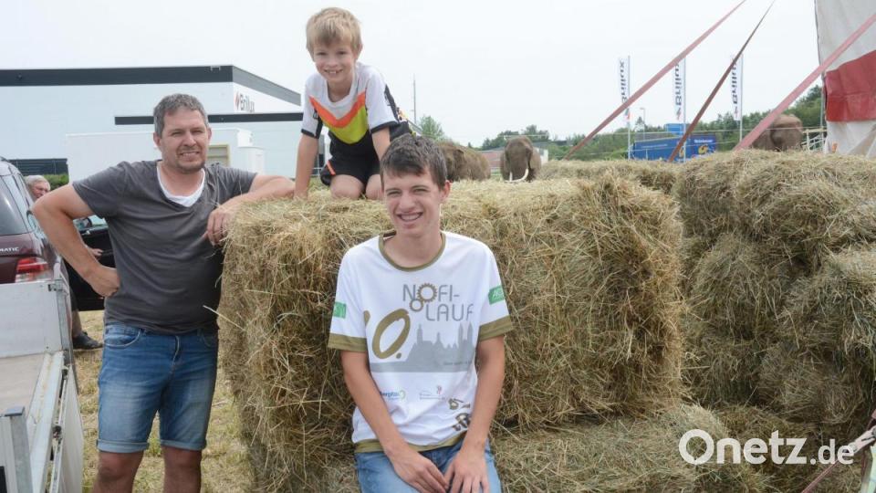 Auch Markus, Lukas und Florian Pausch helfen: Sie bringen Heu für die Elefanten vorbei. Bild: Gabi Schönberger