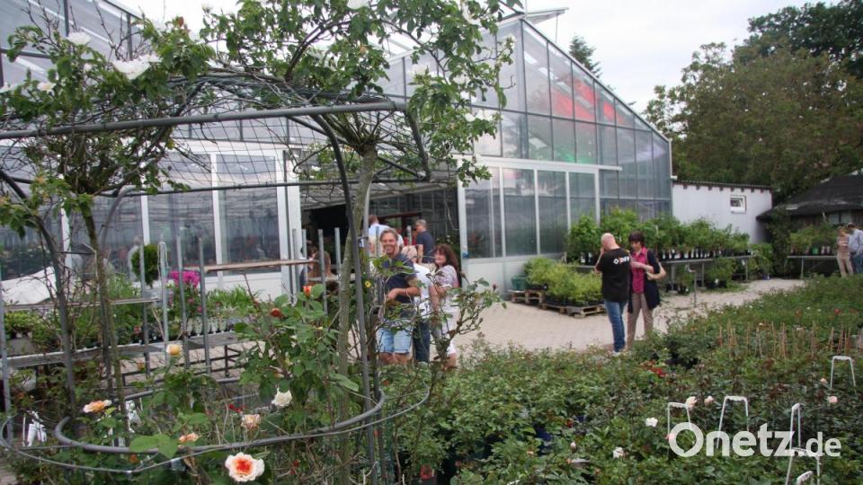 Rosen und "Italienische Nacht" mit "I Dolci Signori" bei Schinner in Güttern. Bild: wro