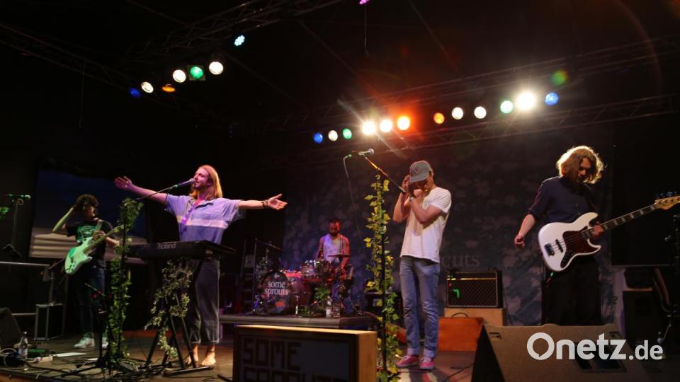 Der Headliner &quot;Some Sprouts&quot; beim Konzert auf der Seebühne. Bild: Roland Wellenhoefer