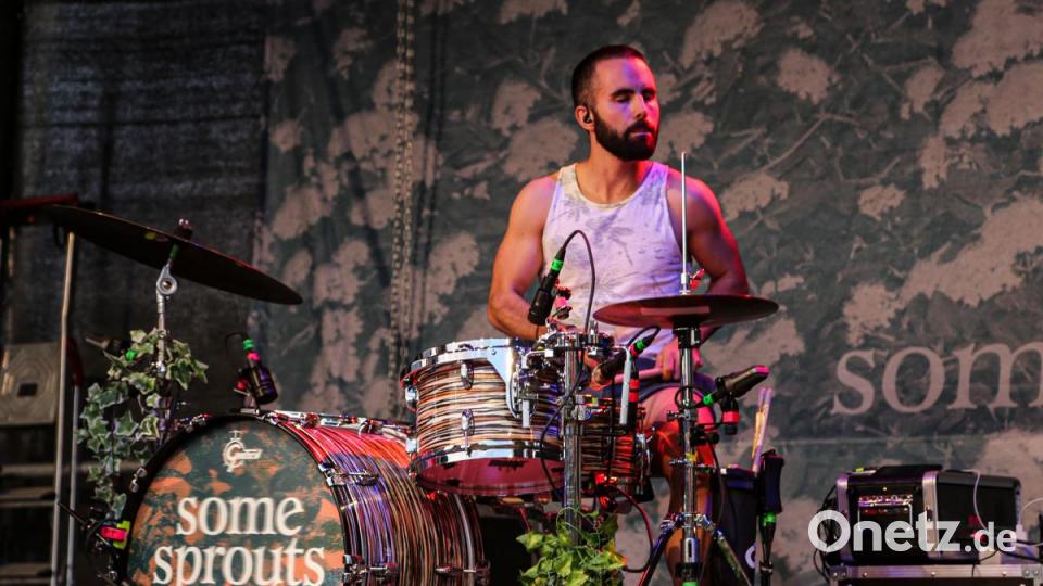 Der Headliner &quot;Some Sprouts&quot; beim Konzert auf der Seebühne. Bild: Roland Wellenhoefer