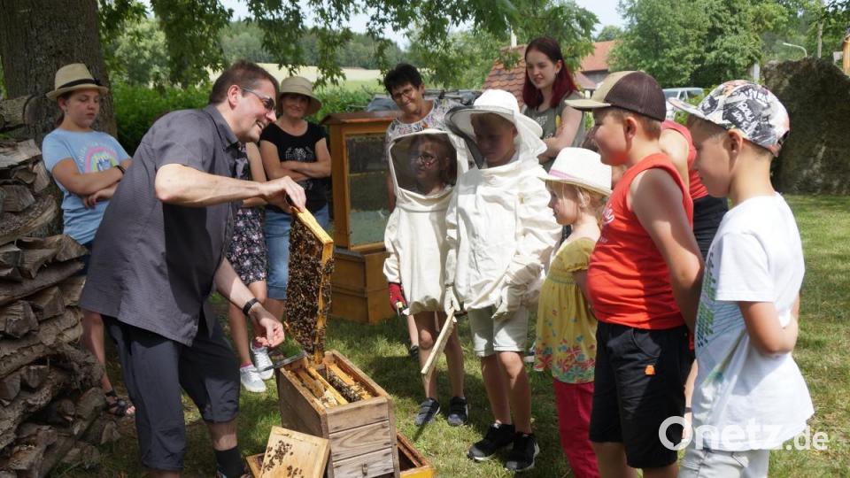 Mit großem Interesse folgten die Kinder den kompetenten Ausführungen von Michael Völkl. Erstaunt waren sie, dass rund 60.000 Bienen in einem Volk leben und arbeiten. Bild: weu