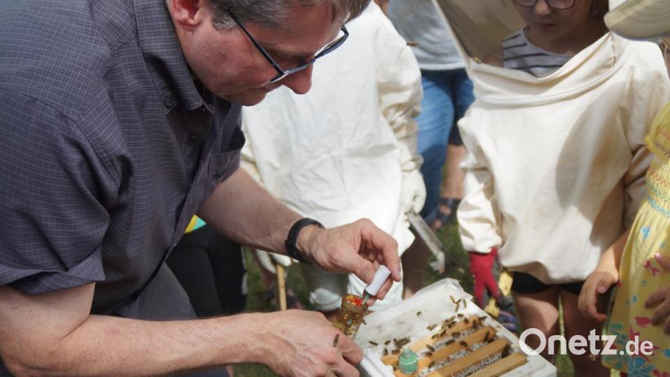 Spannend für Kinder und Erwachsene war das Markieren einer Königin. Bild: weu