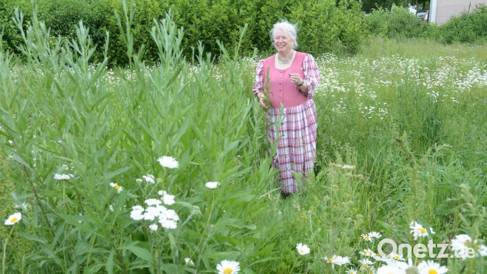 Wildkräuterexpertin Waltraud Witteler schwelgt zwischen Margariten, Ampfer, Fuchsschwanzgräsern und mehr. Bild: Gabi Schönberger