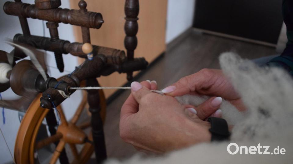 Zupfen, ziehen, zwirbeln: Beim Spinnen braucht es viel Feingefühl, sonst dreht sich das Gran in das Wollbüschel oder reißt ab. Bild: szl